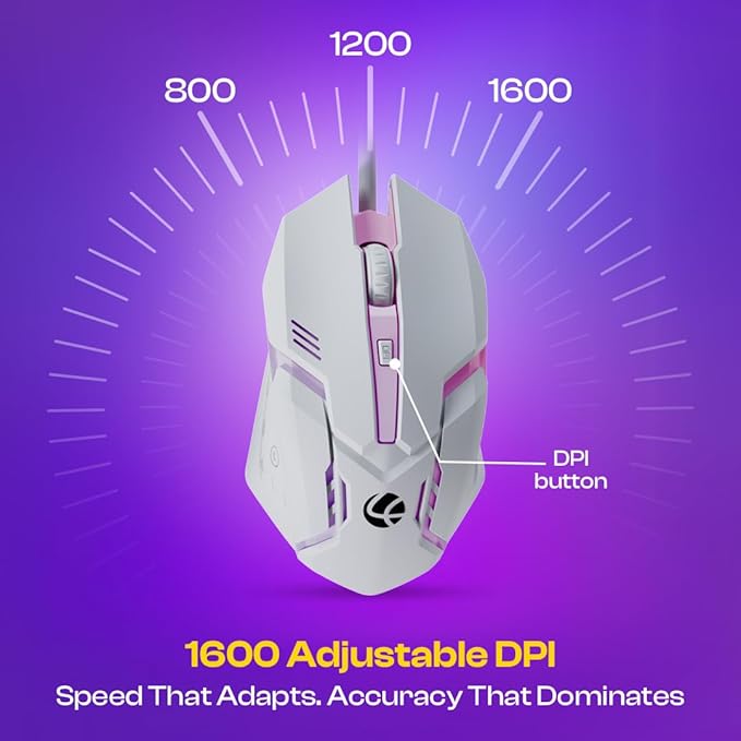 Lapcare Rapido